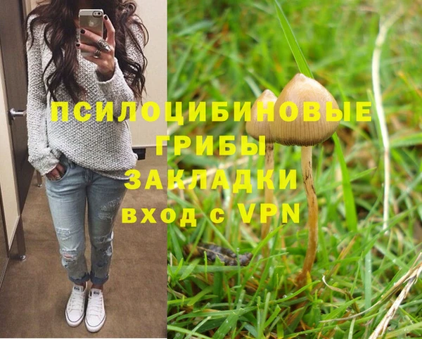 стаф Алзамай