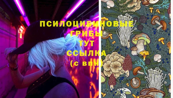 apvp Пролетарск