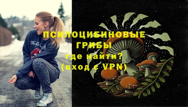 МДПВ Абинск
