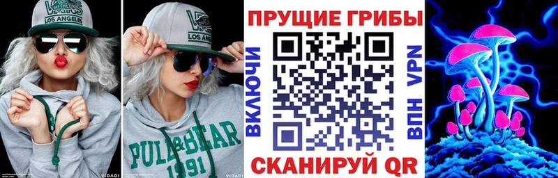 Галлюциногенные грибы прущие грибы  Елизово 