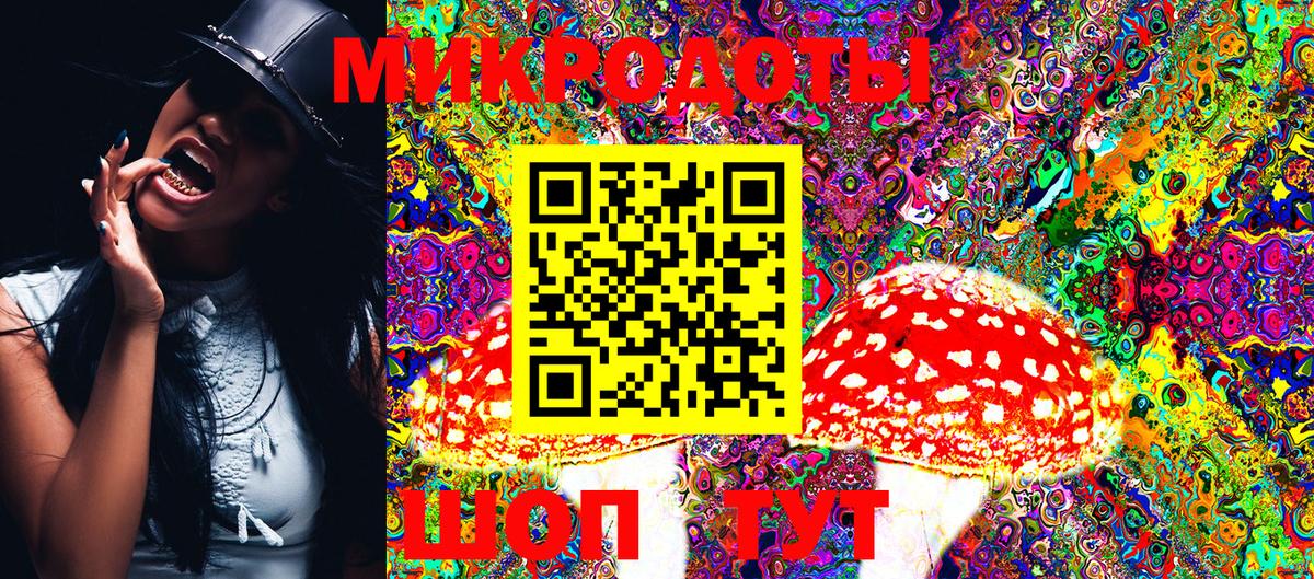 Елизово  Псилоцибиновые грибы MAGIC MUSHROOMS  Вход с VPN 